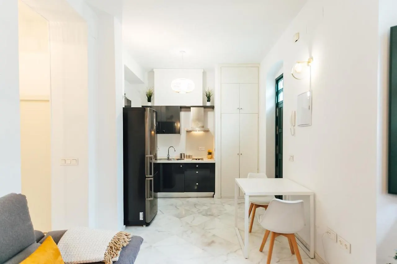 Modern And Wide- 1Bd 1Bth- Triana Apartment Seville