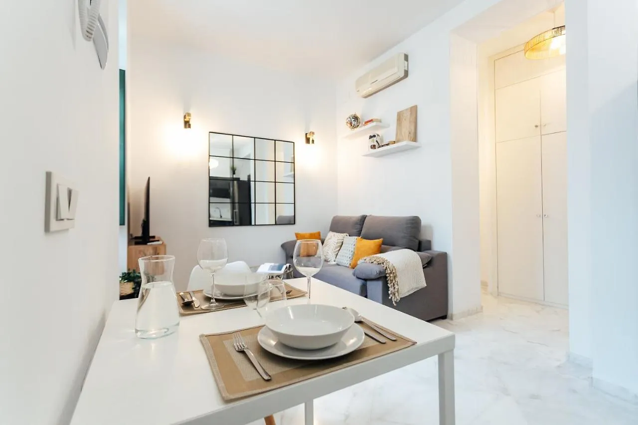 Modern And Wide- 1Bd 1Bth- Triana Apartment Seville