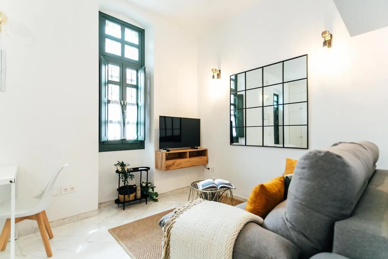 Modern And Wide- 1Bd 1Bth- Triana Apartment Seville