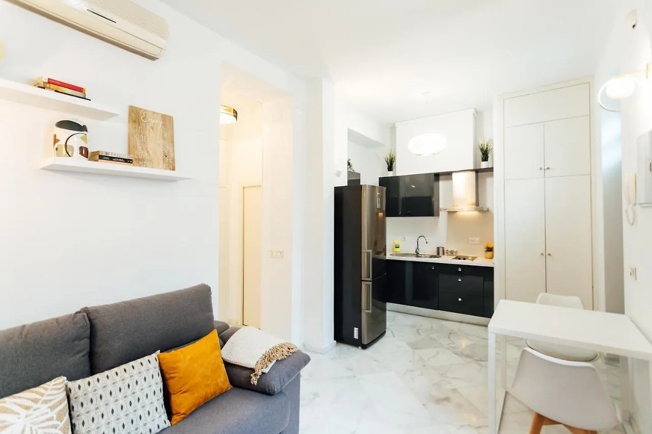 Modern And Wide- 1Bd 1Bth- Triana Apartment Seville Spain