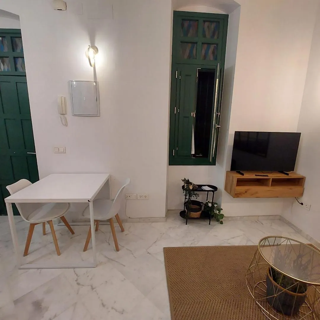 Modern And Wide- 1Bd 1Bth- Triana Apartment Seville